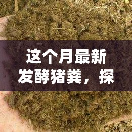 探秘小巷深处的独特小店，最新发酵猪粪的秘密花园揭秘