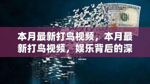 本月最新打鸟视频，娱乐背后的深思与探讨的启示