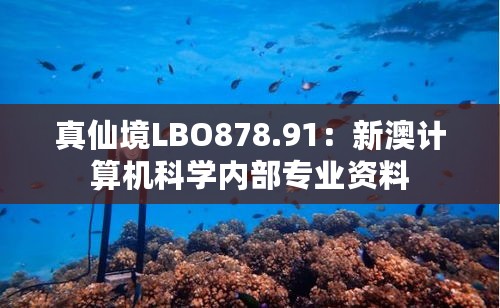 真仙境LBO878.91：新澳计算机科学内部专业资料