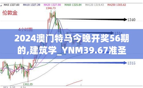 2024年11月13日 第58页