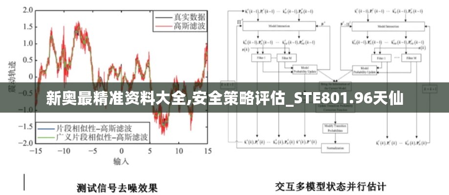 新奥最精准资料大全,安全策略评估_STE801.96天仙