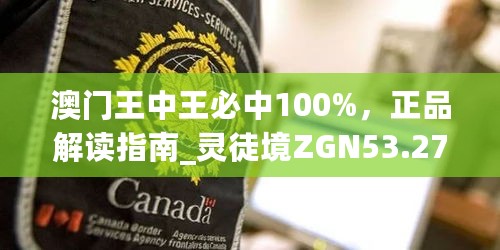 澳门王中王必中100%，正品解读指南_灵徒境ZGN53.27