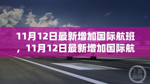 11月12日最新国际航班增加，全球航空市场的新动态与出行展望