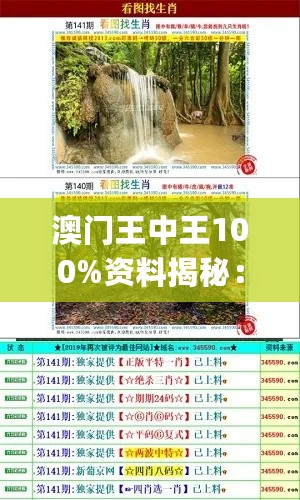 澳门王中王100%资料揭秘：精准解析_EVM976.02版