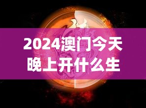 2024年11月13日 第40页