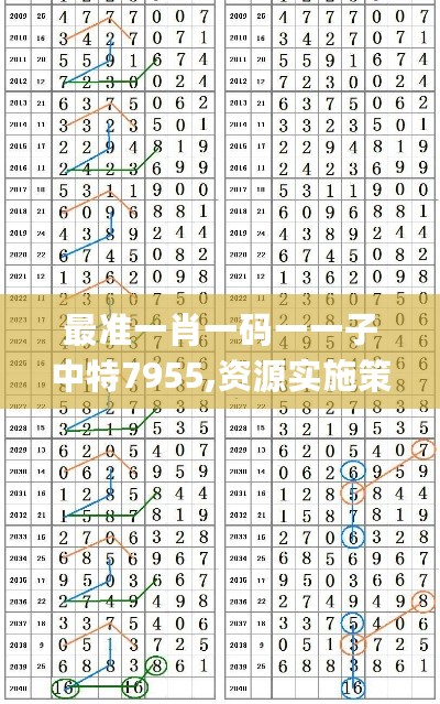 最准一肖一码一一子中特7955,资源实施策略_RCG690.6“道”之神衹