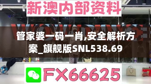 管家婆一码一肖,安全解析方案_旗舰版SNL538.69