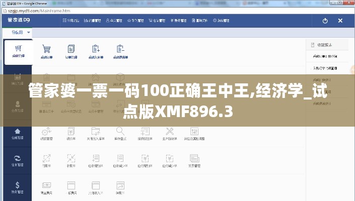 管家婆一票一码100正确王中王,经济学_试点版XMF896.3