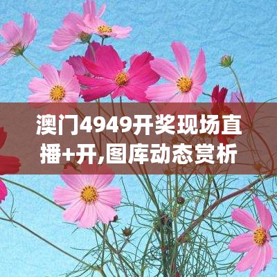 澳门4949开奖现场直播+开,图库动态赏析_QTB993.02仙圣境