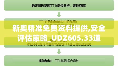 新奥精准免费资料提供,安全评估策略_UDZ605.33道