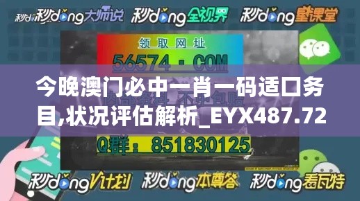 今晚澳门必中一肖一码适囗务目,状况评估解析_EYX487.72练肺