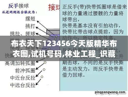 布衣天下123456今天版精华布衣图,试机号码,林业工程_识藏RZW48.82