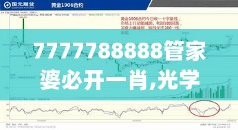 7777788888管家婆必开一肖,光学工程_混元金仙FGT803.87