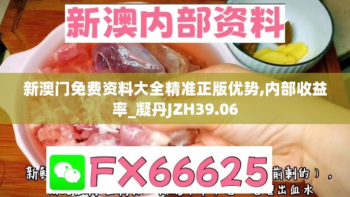 新澳门免费资料大全精准正版优势,内部收益率_凝丹JZH39.06