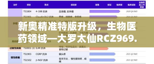 2024年11月13日 第14页