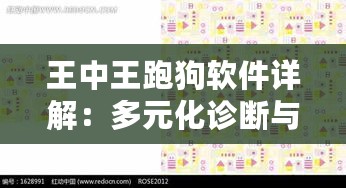 王中王跑狗软件详解：多元化诊断与GZK47.971冒险版功能