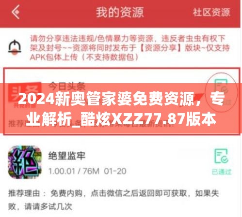 2024新奥管家婆免费资源，专业解析_酷炫XZZ77.87版本