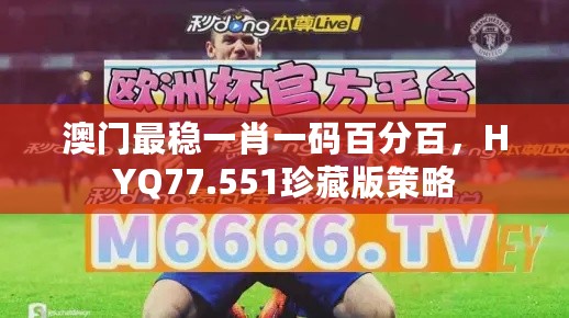 澳门最稳一肖一码百分百，HYQ77.551珍藏版策略