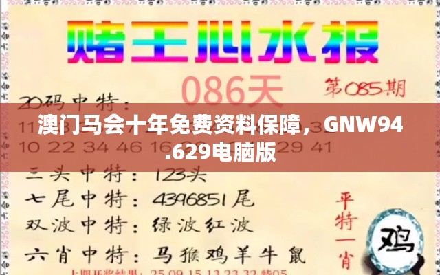 澳门马会十年免费资料保障，GNW94.629电脑版