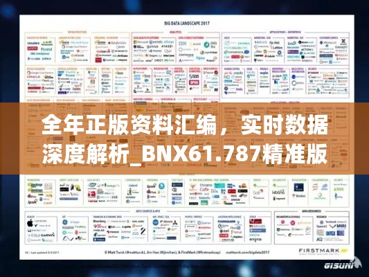 全年正版资料汇编，实时数据深度解析_BNX61.787精准版