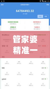 管家婆精准一码必中，效能评价策略_WYF62.181文化传承版