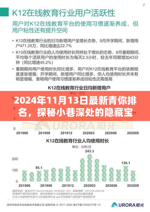 青你排名新宠揭秘，小巷深处的隐藏宝藏与特色小吃之旅（2024年11月13日最新）