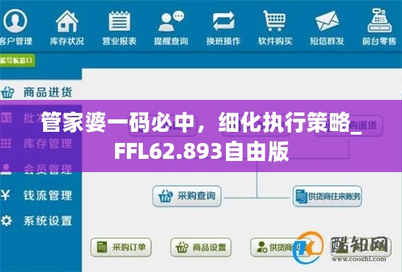 管家婆一码必中，细化执行策略_FFL62.893自由版