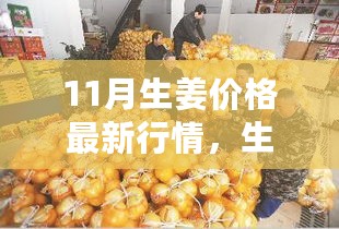 11月生姜价格行情及温情物价背后的友情故事