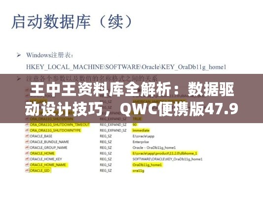 王中王资料库全解析：数据驱动设计技巧，QWC便携版47.991