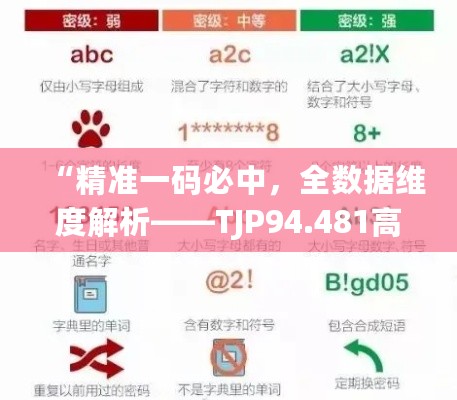 “精准一码必中，全数据维度解析——TJP94.481高级版”