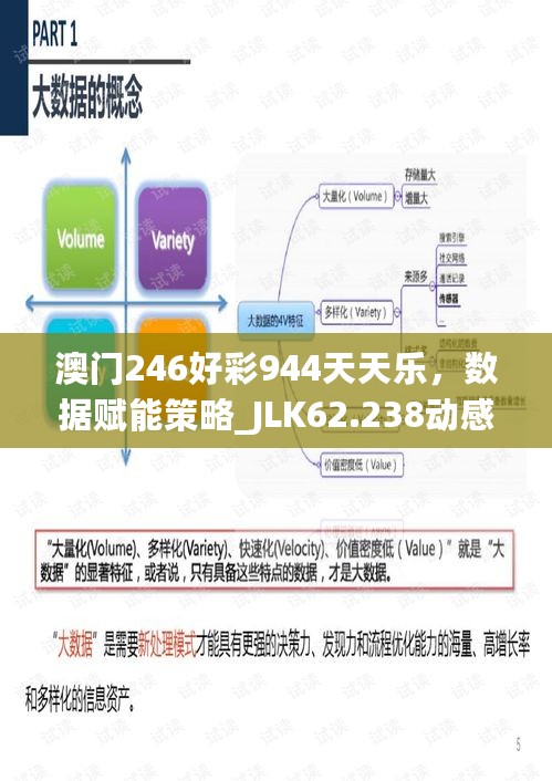 澳门246好彩944天天乐，数据赋能策略_JLK62.238动感版