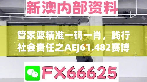 管家婆精准一码一肖，践行社会责任之AEJ61.482赛博版