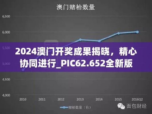 2024澳门开奖成果揭晓，精心协同进行_PIC62.652全新版