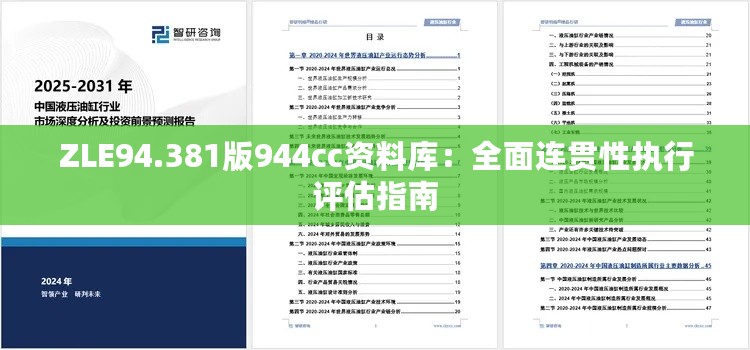 ZLE94.381版944cc资料库：全面连贯性执行评估指南