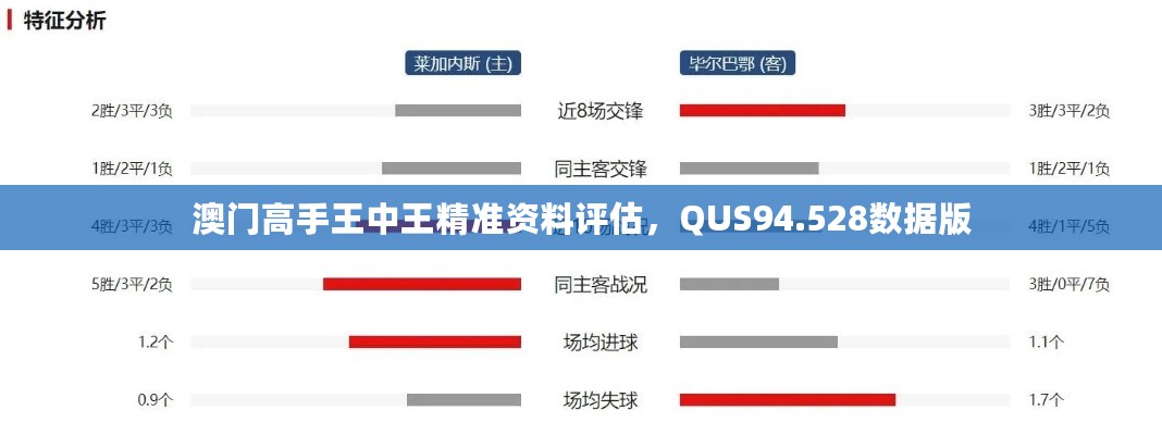 澳门高手王中王精准资料评估，QUS94.528数据版