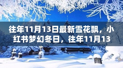 小红书梦幻冬日，往年11月13日的雪花飘舞记忆