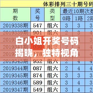 白小姐开奖号码揭晓，独特视角解读_JSR62.121版