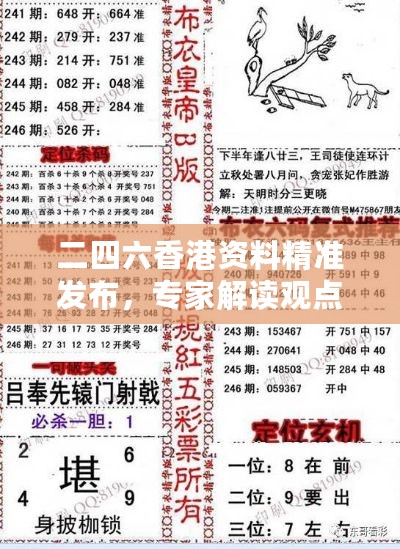 二四六香港资料精准发布，专家解读观点及VMU94.484视频解析