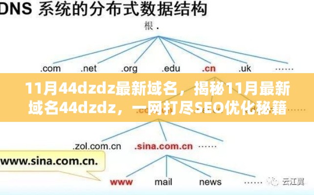 揭秘最新域名44dzdz，SEO优化秘籍一网打尽