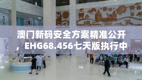 澳门新码安全方案精准公开，EHG68.456七天版执行中