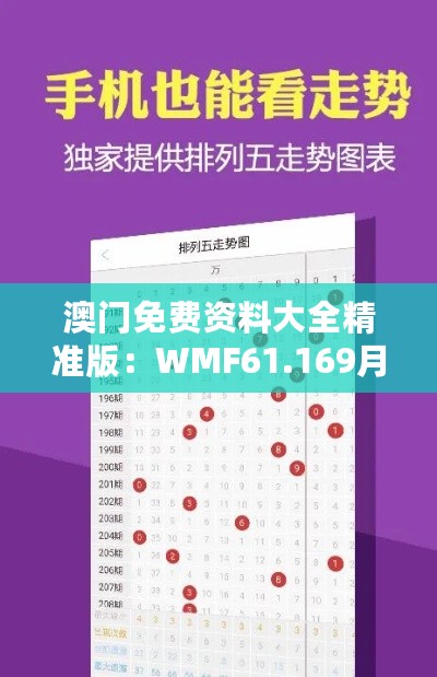 澳门免费资料大全精准版：WMF61.169月光高效方案