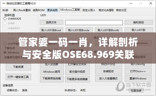 管家婆一码一肖，详解剖析与安全版OSE68.969关联