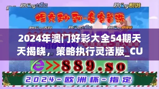 2024年澳门好彩大全54期天天揭晓，策略执行灵活版_CUM47.327升级版