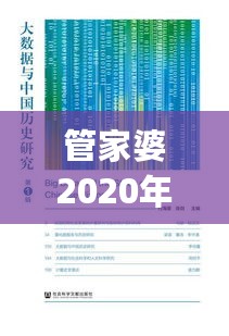 管家婆2020年资料一肖深度解析：策略升级方案_XTJ68.168尊享版