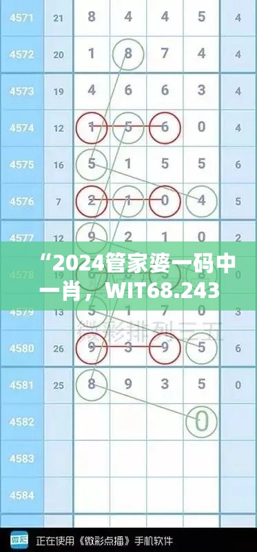 “2024管家婆一码中一肖，WIT68.243动感版数据驱动设计法”