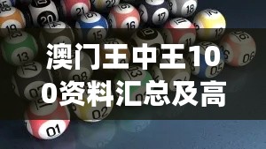 澳门王中王100资料汇总及高效执行策略_PVH68.629车载版