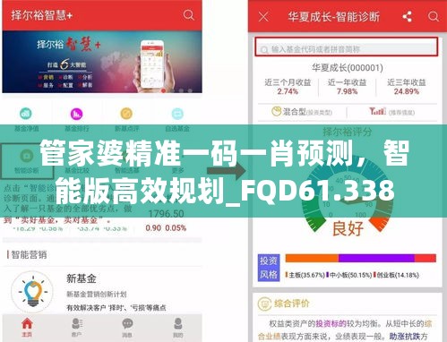 管家婆精准一码一肖预测，智能版高效规划_FQD61.338升级版