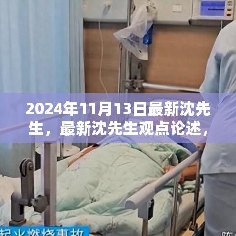 沈先生观点论述，多维度的探讨与论述（最新更新，视角至2024年）