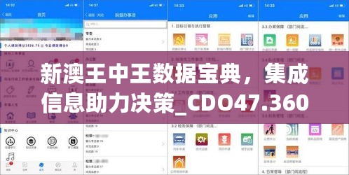 新澳王中王数据宝典，集成信息助力决策_CDO47.360版