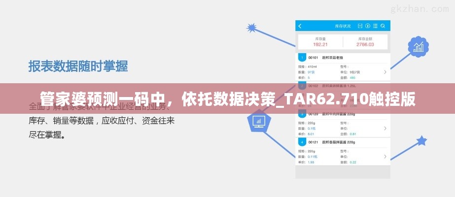 管家婆预测一码中，依托数据决策_TAR62.710触控版